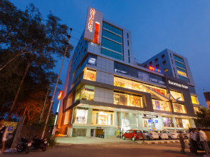 Ginger Indore