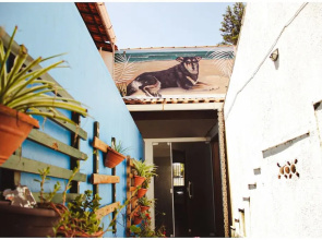 Beach Hostel & Suites, Cabo Frio