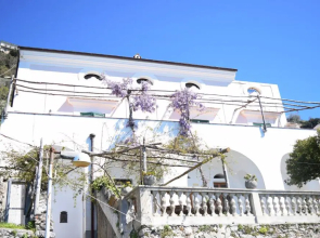 Belvedere Amodeo