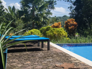 Lazy Lizard Villa