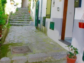 Charming House
