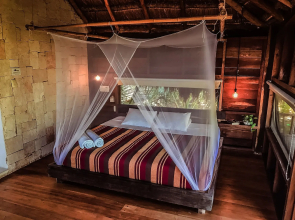 Vida Silvestre Tulum