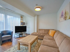 Ski-in, Ski-out Brunner Apartment, Wildschonau