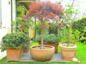 Red & Blu Luxury Villa Apartment 8/Private Parking