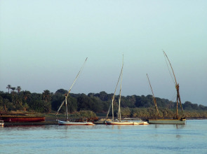 Mövenpick Resort Aswan