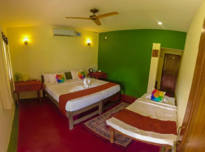 Tadoba Safari Stay Nature's Sprout