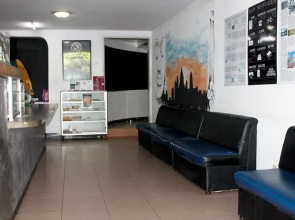 Eighty8 Backpackers - Hostel