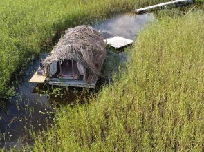 Beaver house