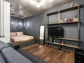 Апартаменты Loft