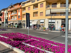 Appartamento Approdo Castiglione