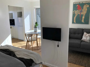 Sun-drenched 1 Bed Studio Apartment In Newtown