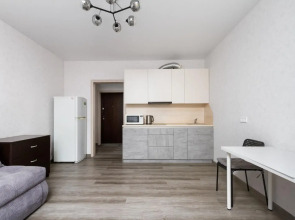 Апартаменты на улице Писарева 125