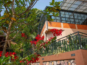 Hotel Baobab