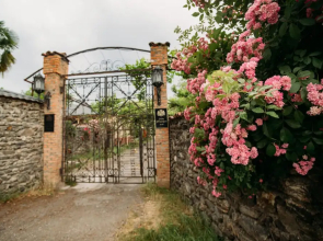 Chateau Eniseli