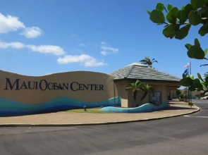 Maalaea Kai 316 1 Bedroom Condo by RedAwning