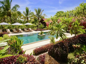 Jungle Paradise