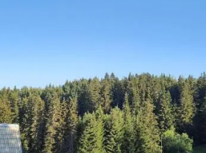 Studios Šumska Kuća 1