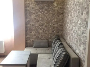 VIP Apartment on Shishkarevskaya