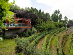 Vila Marim Country House