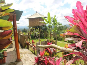 Bali Tree House Pelangi