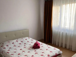 Garsoniera Flamingo Garii 4
