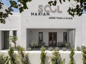 Naxian Soul