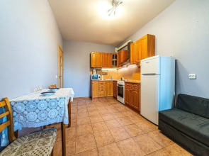 Апартаменты у центра Алмазова 3