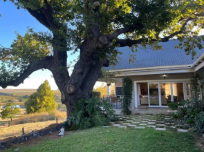 Wildlife Hideaway in the vineyards