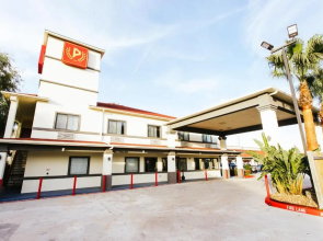 Palace Inn