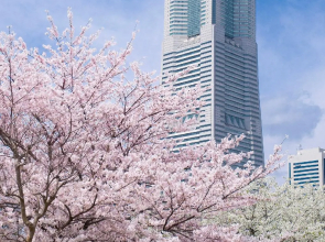 THE KAHALA Hotel & Resort YOKOHAMA