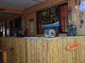 Casa Pura Vida Surf Hostel