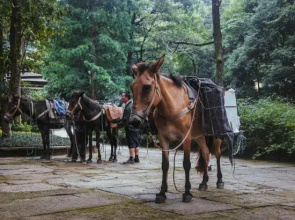 Yuan Chanyue Homestay (Wuxie Branch)