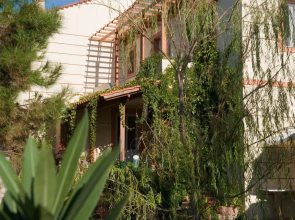 Zorbas Volissos Apartments Chios