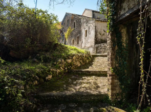 The Swallow's Seaview Nest by Konnect