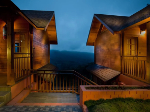 Eterno Camellia and Elettaria