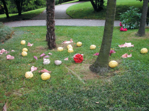 Grand Hotel Majestic