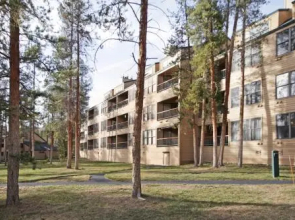 1633 Quicksilver Condo