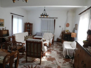 Lemon tree house