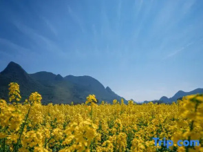 wuyuewanli homestay