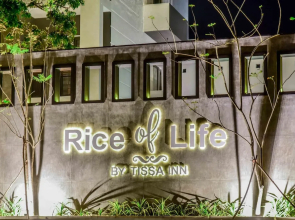 Rice of Life by Tissa Inn