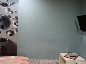 Меблированные комнаты Снегири