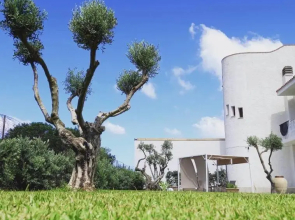 Villa Eagle