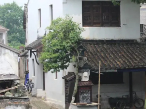 Cyan Dragon Old House Tongli