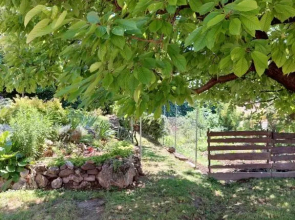 Kossuth Lajos utca 73 Apartman Nabuka