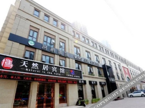 Natural In the Hotel