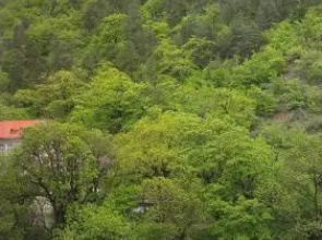 Guesthouse On Rustaveli