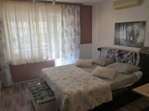Apartment Serpa