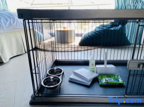 chillout glamping zao