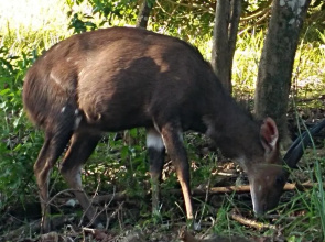 San Lameer Villa 2012