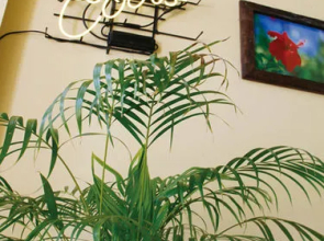 Beach House Miyakojima